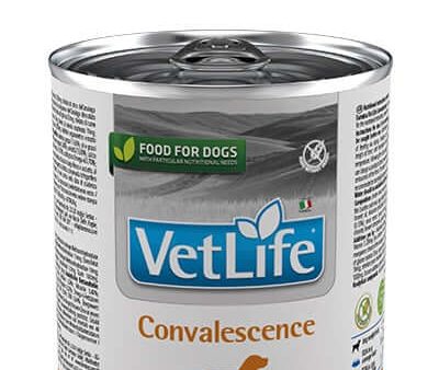 Vet Life Natural Wet diet dog Convalescence Online Hot Sale