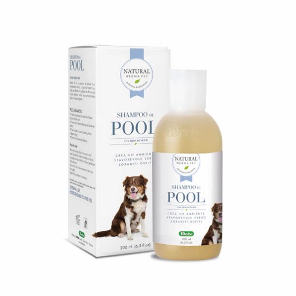 Derbe Shampoo di Pool For Cheap