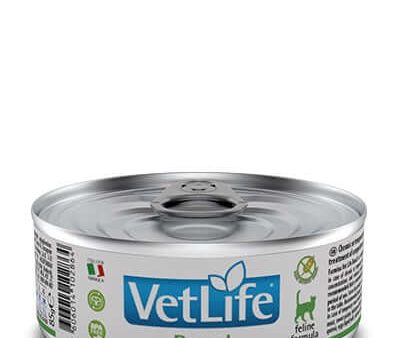 Vet Life Natural Wet Diet Cat Renal For Sale