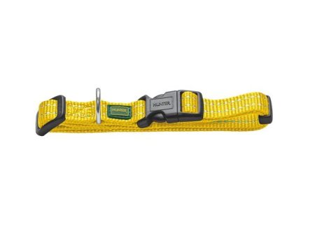 Collari Tripoli Giallo - inserti riflettenti Supply