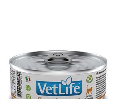 Vet Life Natural Wet Diet Cat Convalescence Supply