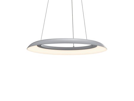 Torus™ LED Pendant Light Discount