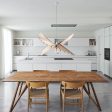 Albatros Pendant Light Sale