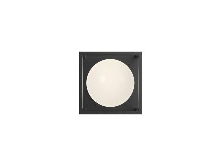 Amelia Outdoor Wall Light For Cheap