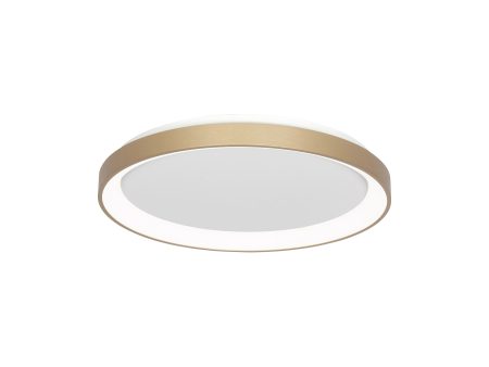 Alaska LED Flush Mount Ceiling Light For Cheap