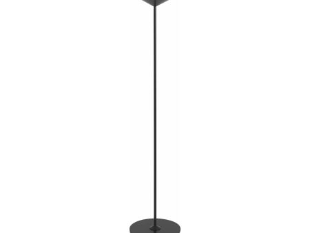 Pina Pro Floor Stand on Sale