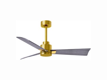 Alessandra Indoor   Outdoor Ceiling Fan Cheap