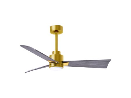 Alessandra Indoor   Outdoor LED Ceiling Fan Online Sale