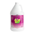 Bio Groom Pink Jasmine Shampoo 1ea 1 Gallon by Bio Groom For Cheap