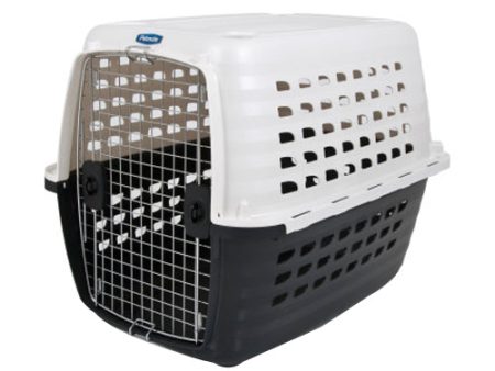 Petmate Compass Dog Kennel White, 1 Each 36 in by Petmate For Cheap