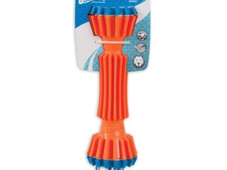 Chuckit! Rugged Bumper Dog Toy Blue Orange, 1 Each Medium by Chuckit! Sale