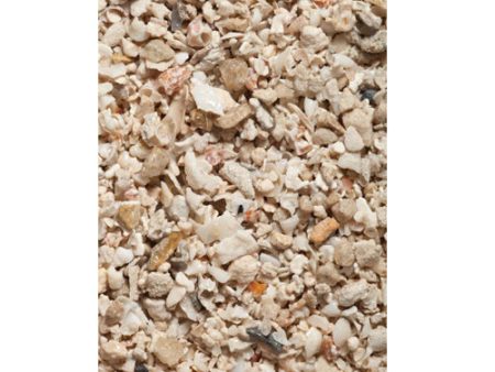 CaribSea Geo-Marine Florida Crushed Coral Substrate 4ea 10 lb (Count of 4) by Caribsea on Sale